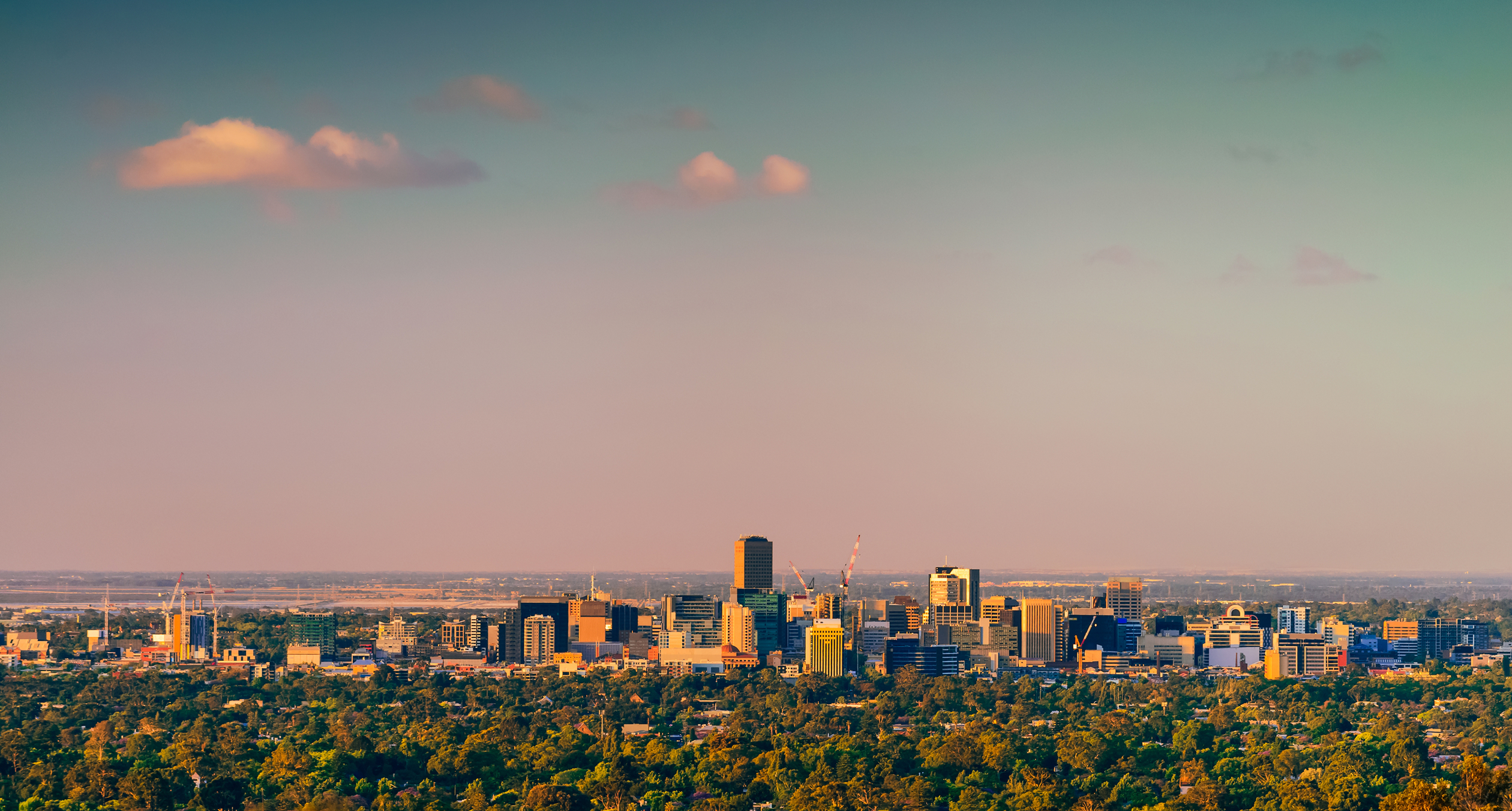 McGees Adelaide office